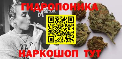 jwh Кандалакша