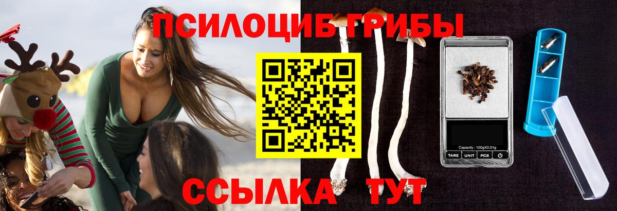 Волоколамск  Псилоцибиновые грибы Magic Shrooms  Вход с VPN 